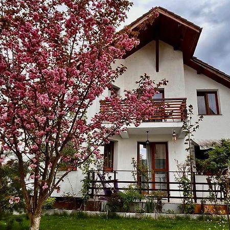 Apartament Cristina House Braszów Zewnętrze zdjęcie